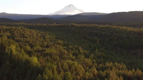 Mt Hood pan down to forest Video stock 78389289