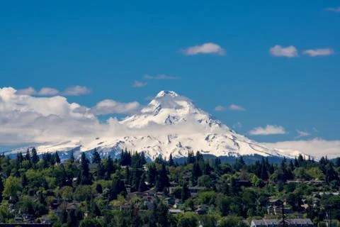 Mt Hood Stock Photos