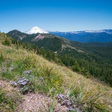 Mt Jefferson Foto stock
