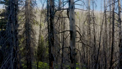 Mt. Lillian Aerial Stock Footage 132942324