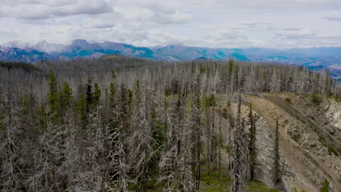 Mt. Lillian Aerial Stock Footage 132986327