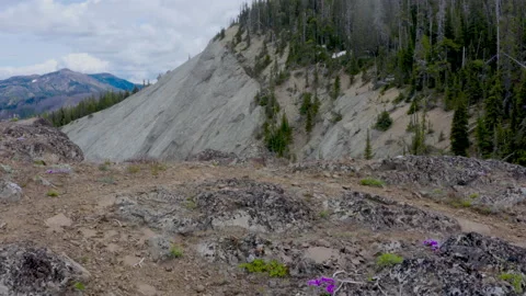Mt. Lillian Aerial Stock Footage 133027714