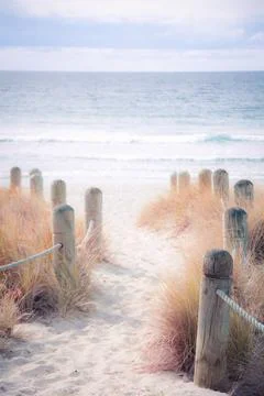 Mt Maunganui beach path Stock Photos