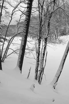 Mt. Misery Stock Photos