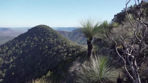 Mt Mitchell Grasstree view looking west locked off Stock Footage 154383326