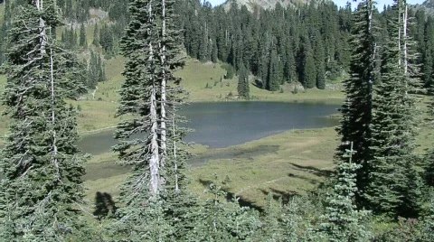 Mt Rainier-5 Video stock 320046