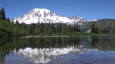 Mt Rainier Bench Lake Reflection Vídeos de archivo 79674529