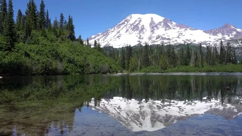 Mt Rainier Bench Lake Reflection with Trees Video stock 79675030