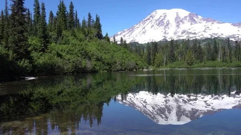 Mt Rainier Bench Lake Reflection with Trees Vídeos de archivo 79675361