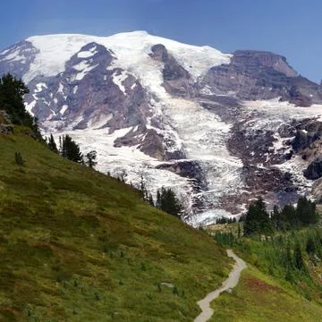 Mt. Rainier, with conifer forest Stock Photos