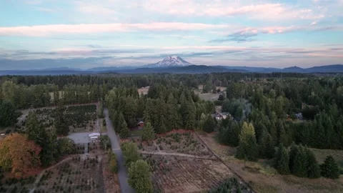 Mt Rainier Country Stock Footage 169248857
