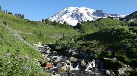 Mt. Rainier Video stock 9256094