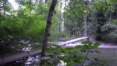 Mt Rainier Video stock 79676728