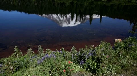 Mt Rainier National park Reflection Lake Stock Footage 8607821