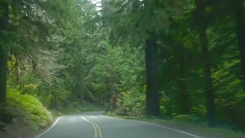 Mt Rainier park Stock Footage 140464001