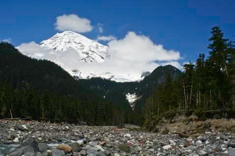 Mt. Rainier Stock Photos