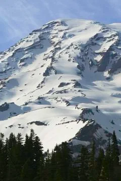 Mt. Rainier Stock Photos