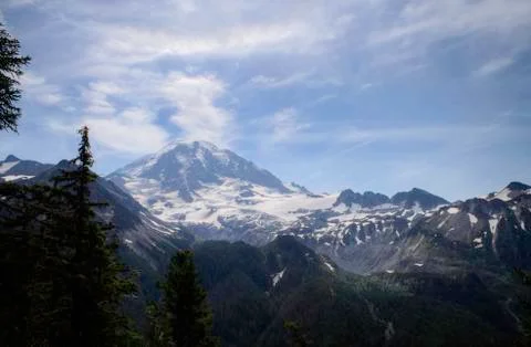 Mt. Rainier Stock Photos
