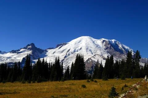 Mt Rainier Stock Photos