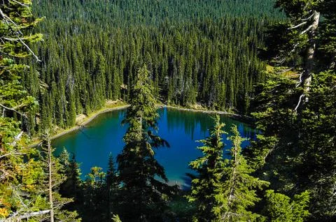 Mt Rainier Stock Photos