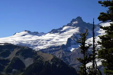 Mt Rainier Stock Photos