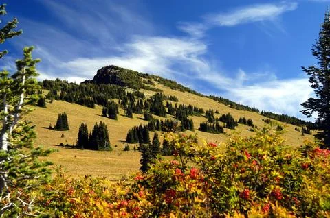 Mt Rainier Stock Photos