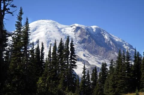 Mt Rainier Stock Photos