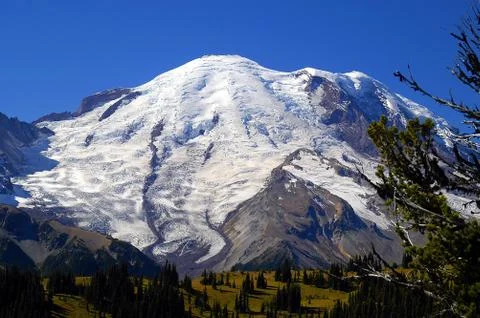 Mt Rainier Stock Photos