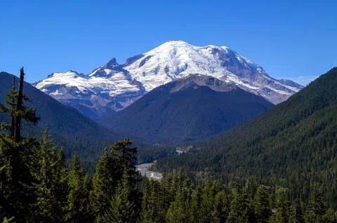 Mt Rainier Stock Photos
