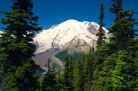 Mt Rainier Stock Photos