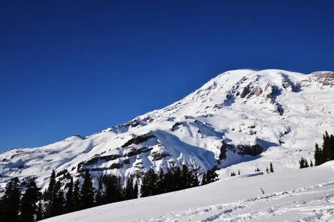 Mt Rainier 写真素材