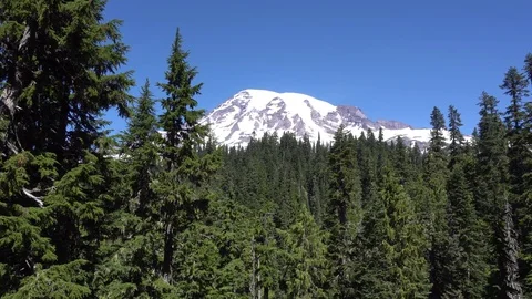 Mt Rainier Pull Off View Vídeos de archivo 79675608