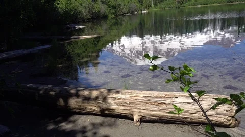 Mt Rainier Reflection in Bench Lake with Log Vídeos de archivo 79671284