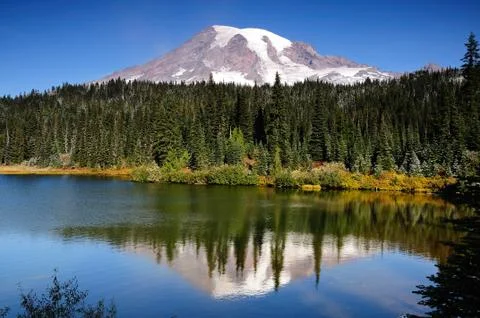 Mt rainier with reflection Stock Photos