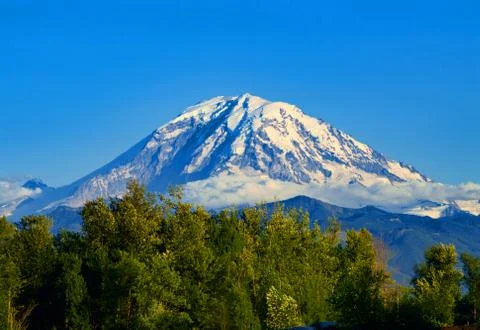 Mt Rainier in Summertime Stock Photos