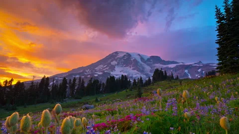 Mt. Rainier Sunset Time Lapse with Wildflowers Stock Footage 158075706