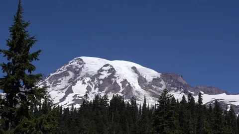 Mt Rainier View with Tree Vídeos de archivo 79675474