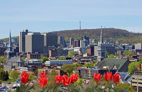 Mt-Royal mountain 스톡 사진