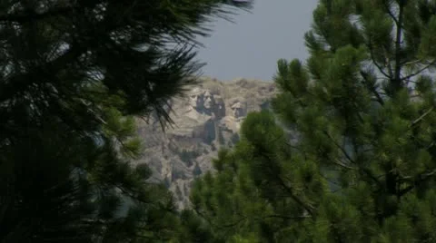 Mt. Rushmore Beyond the Trees Video stock 11802416