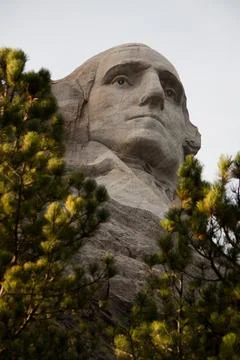 Mt Rushmore Washington Between Trees Stock Photos
