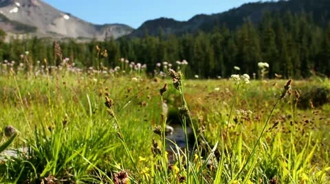 Mt Shasta 03 Dolly R Panther Meadows Stock Footage
