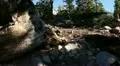 Mt Shasta 13 TU Forest HD Footage