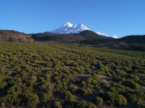 Mt Shasta Stock Footage 83041151