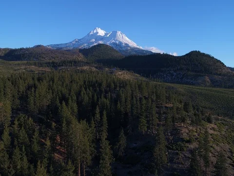 Mt Shasta Stock Footage 83049747