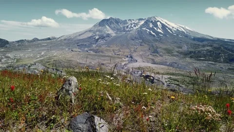 Mt St Helens And Forest, Washington, USA Stock Footage 160658255