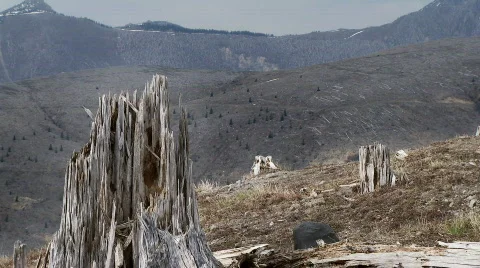 Mt St Helens Stock Footage 720304