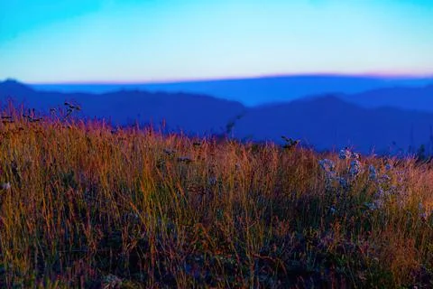 Mt St Helens Stock Photos