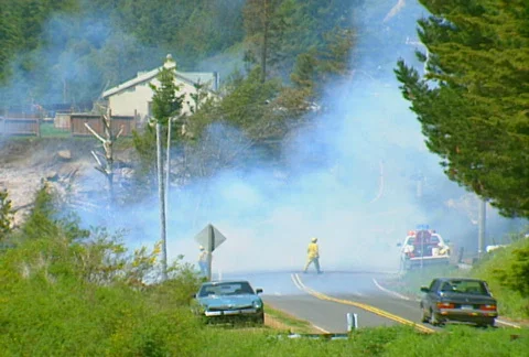 Mt. Tam Control Burn 02 Stock Footage 505604