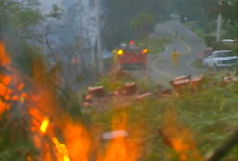 Mt. Tam Control Burn 04 Stock Footage 505598