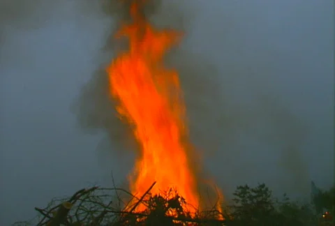 Mt. Tam Control Burn 05 Stock Footage 505609